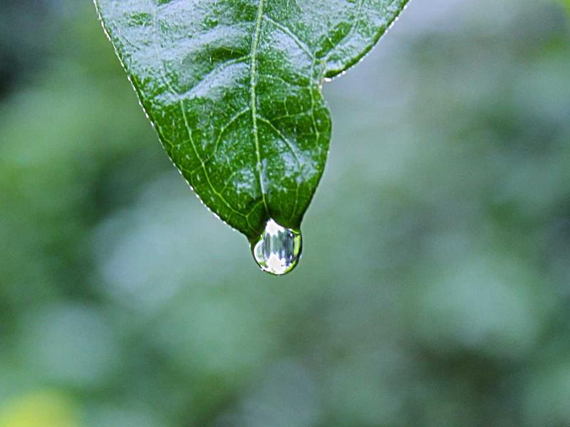 TK账号交易安全<br>买卖账号防骗防找回交接流程